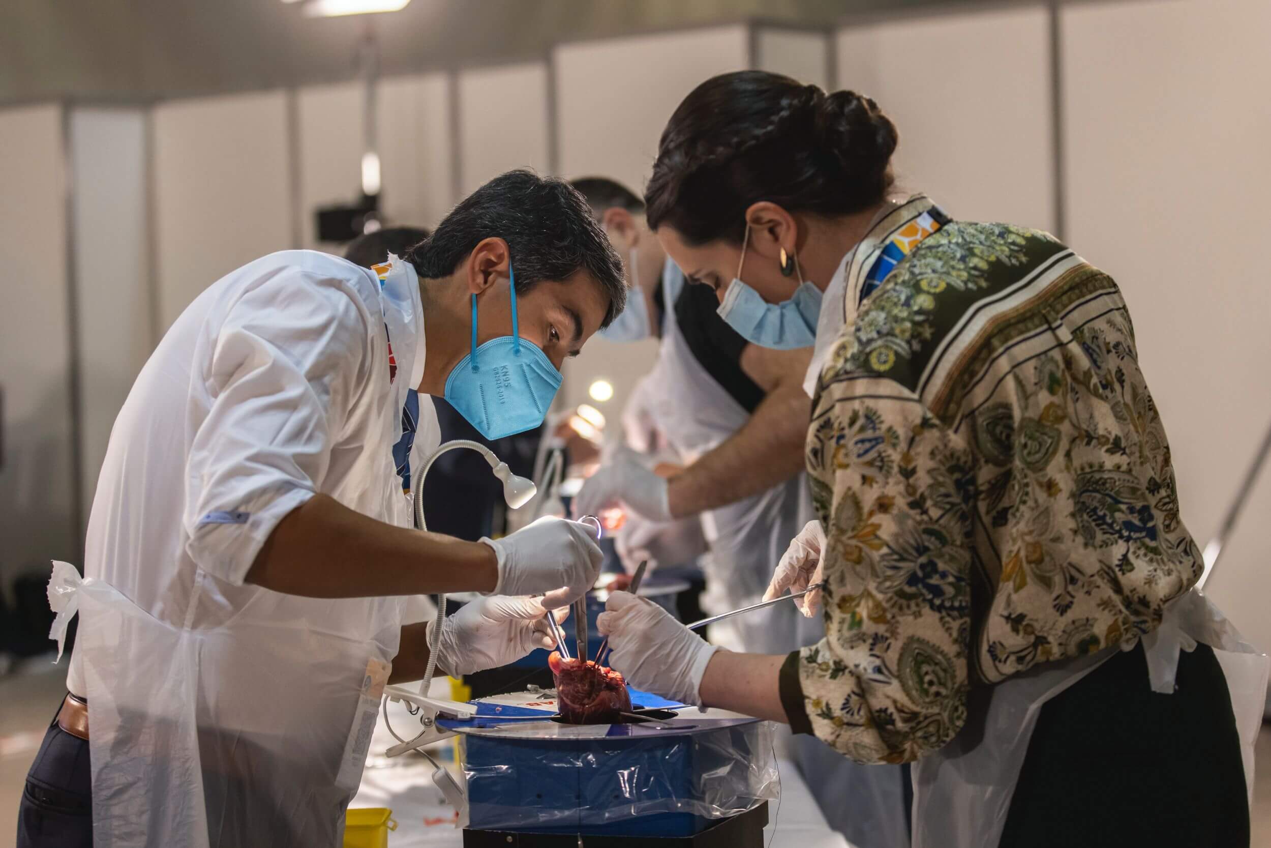 Two individuals wearing protective masks and gloves are diligently working on a heart.